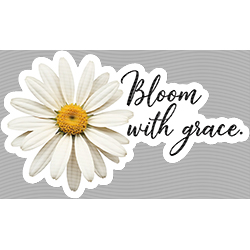 faith-JD 1646
